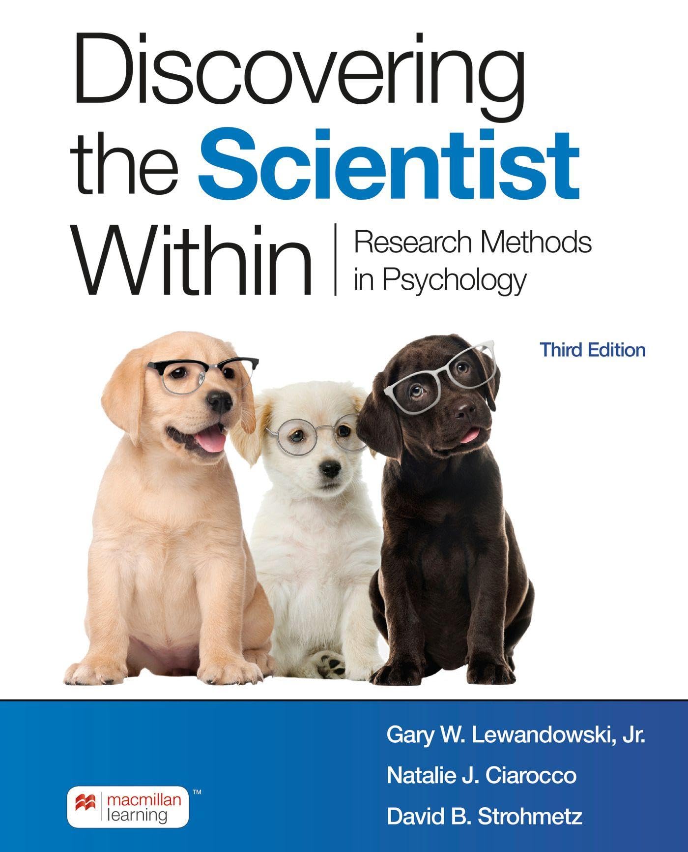 Cover of Discovering the Scientist Within: Research Methods in Psychology
