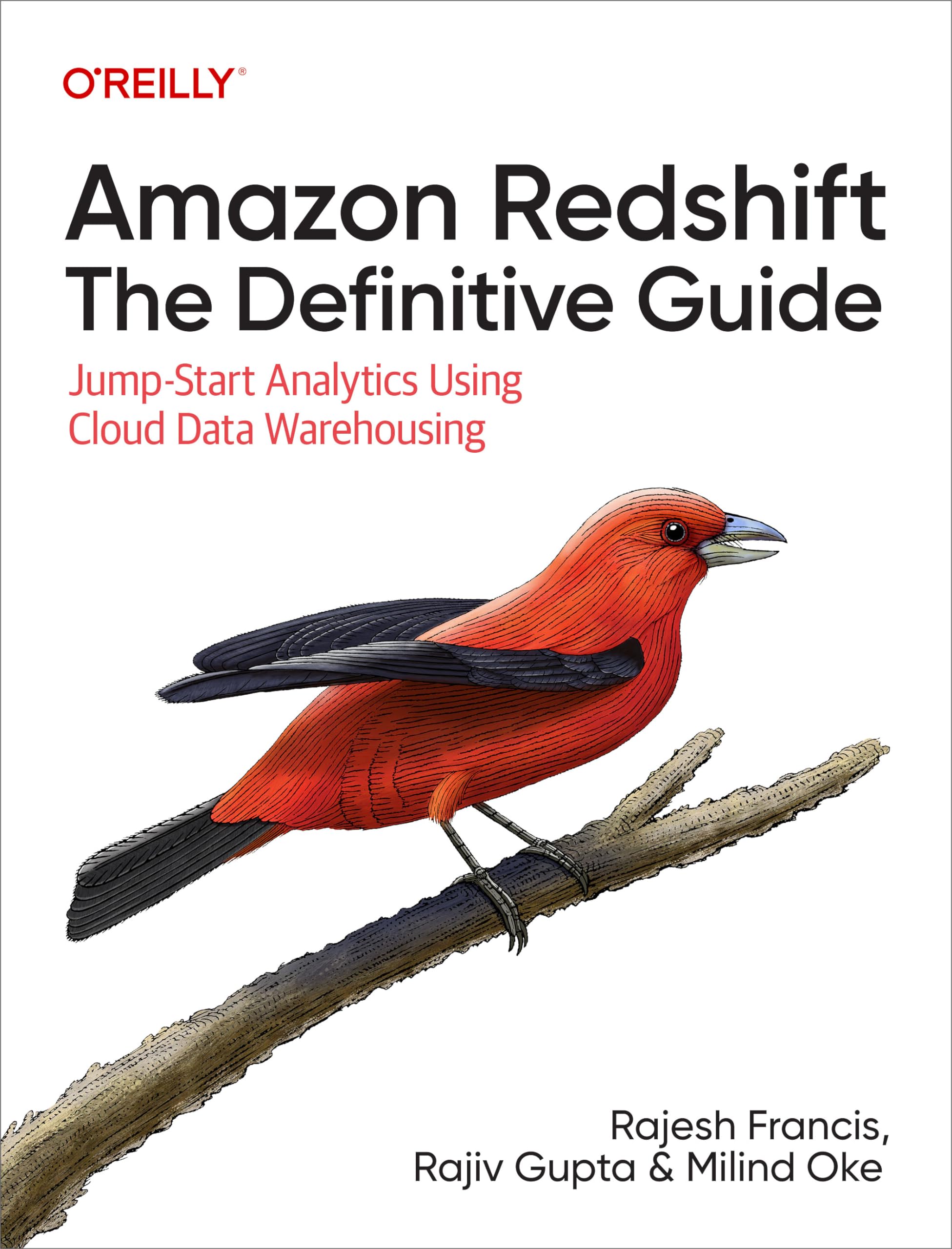 Cover of Amazon Redshift: The Definitive Guide: Jump-Start Analytics Using Cloud Data Warehousing