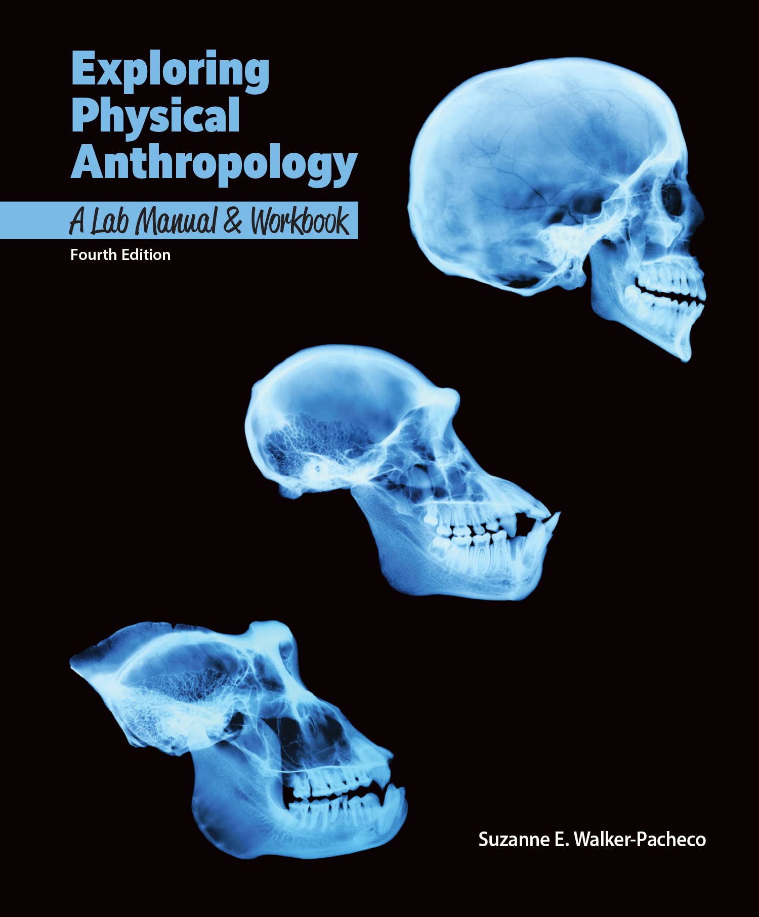 Cover of Exploring Physical Anthropology: A Lab Manual & Workbook