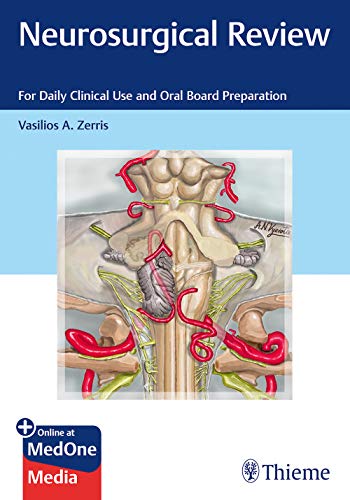 Cover of Neurosurgical Review: For Daily Clinical Use and Oral Board Preparation