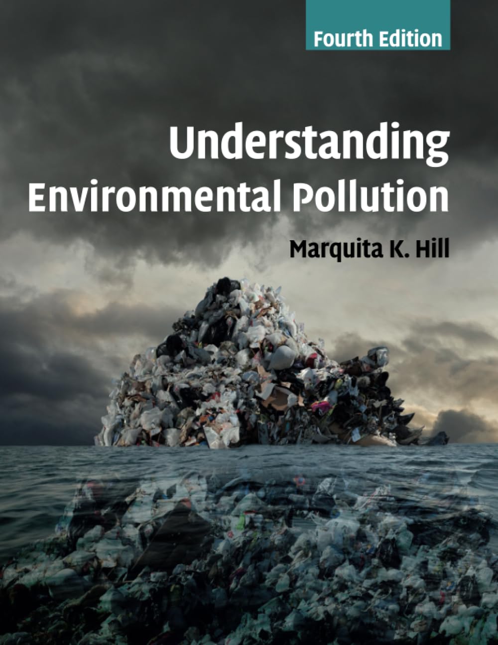 Cover of Understanding Environmental Pollution