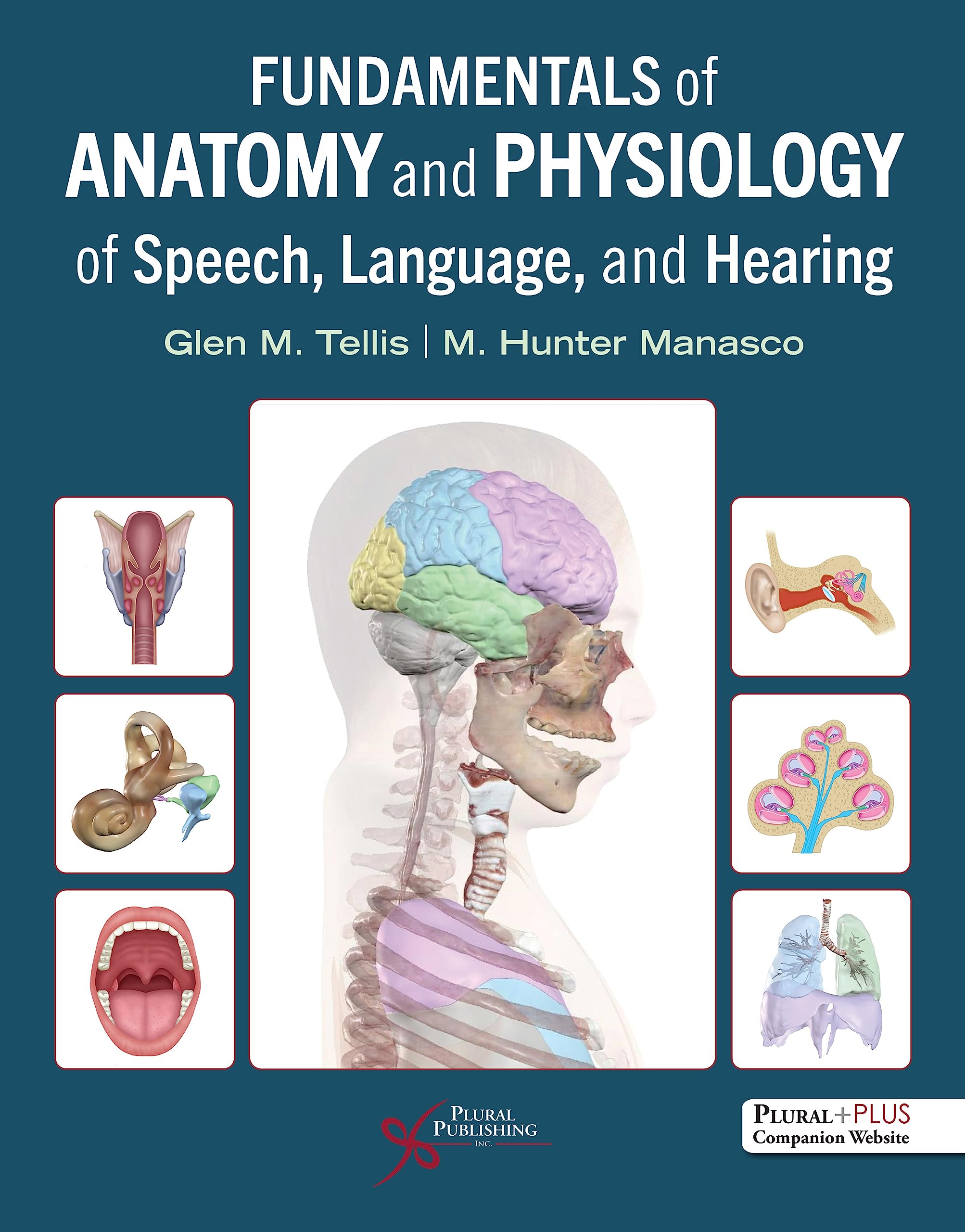 Cover of Fundamentals of Anatomy and Physiology of Speech, Language, and Hearing
