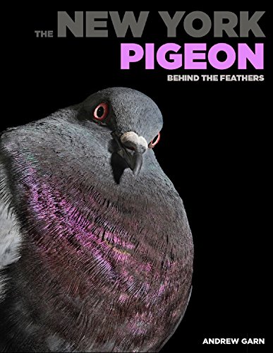 Cover of The New York Pigeon: Behind the Feathers