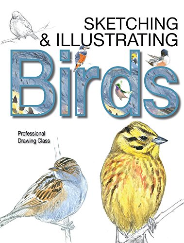 Cover of Sketching & Illustrating Birds: Professional Drawing Class