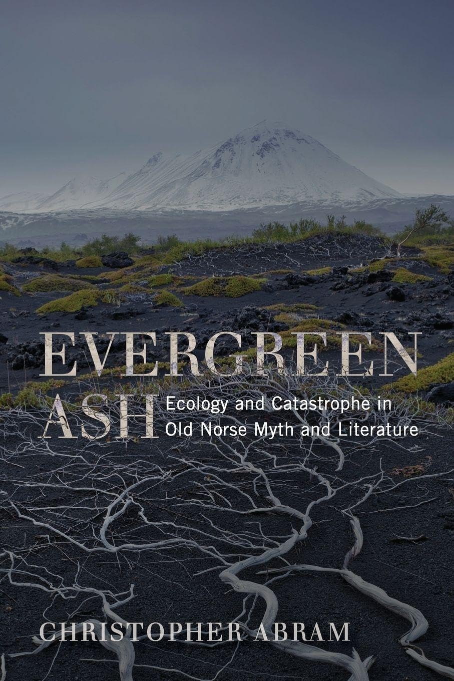 Cover of Evergreen Ash: Ecology and Catastrophe in Old Norse Myth and Literature (Under the Sign of Nature: Explorations in Environmental Humanities)