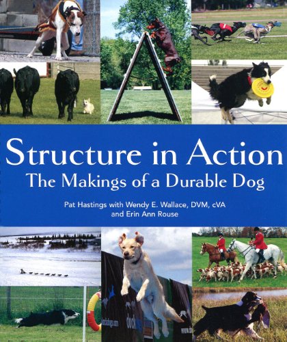 Cover of Structure in Action: The Makings of a Durable Dog