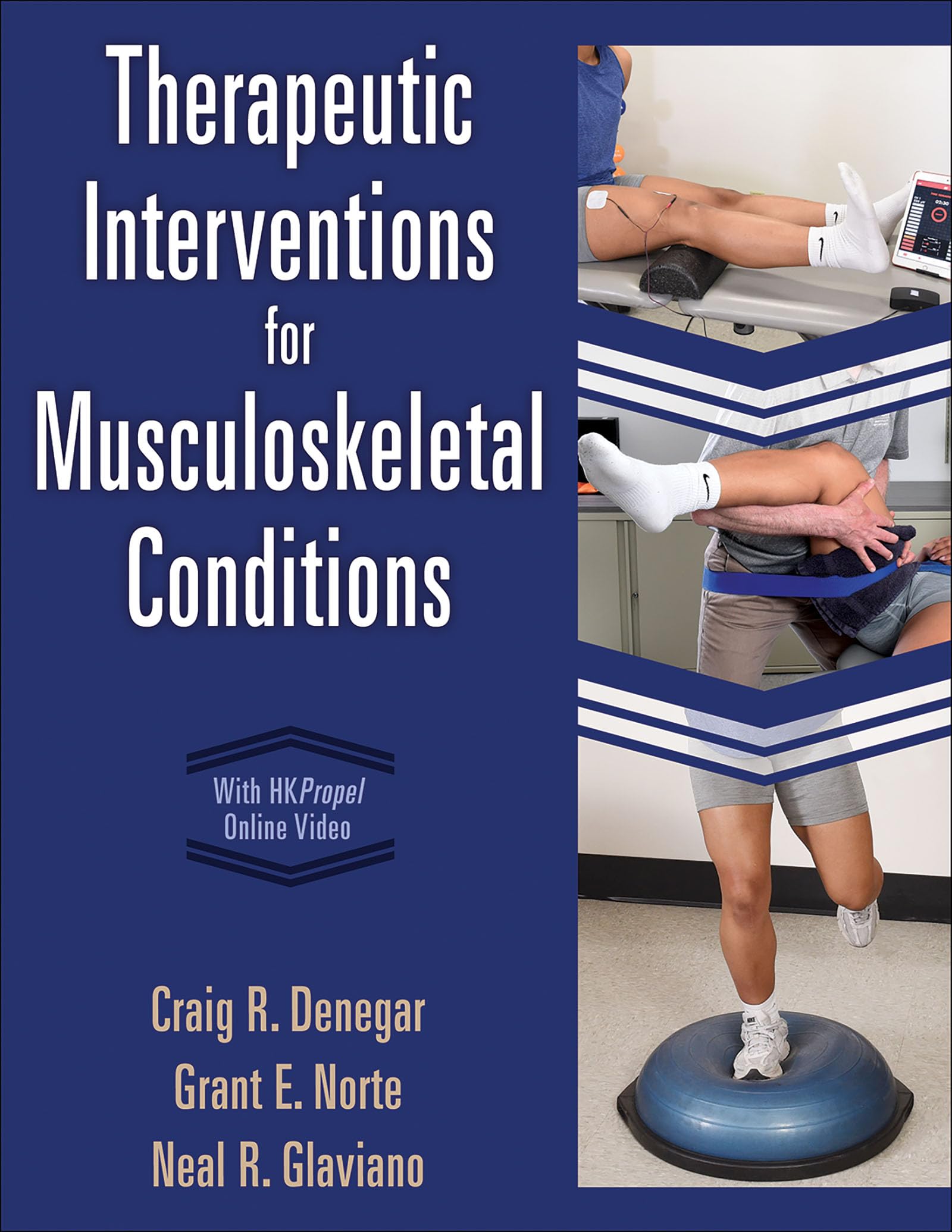 Cover of Therapeutic Interventions for Musculoskeletal Conditions