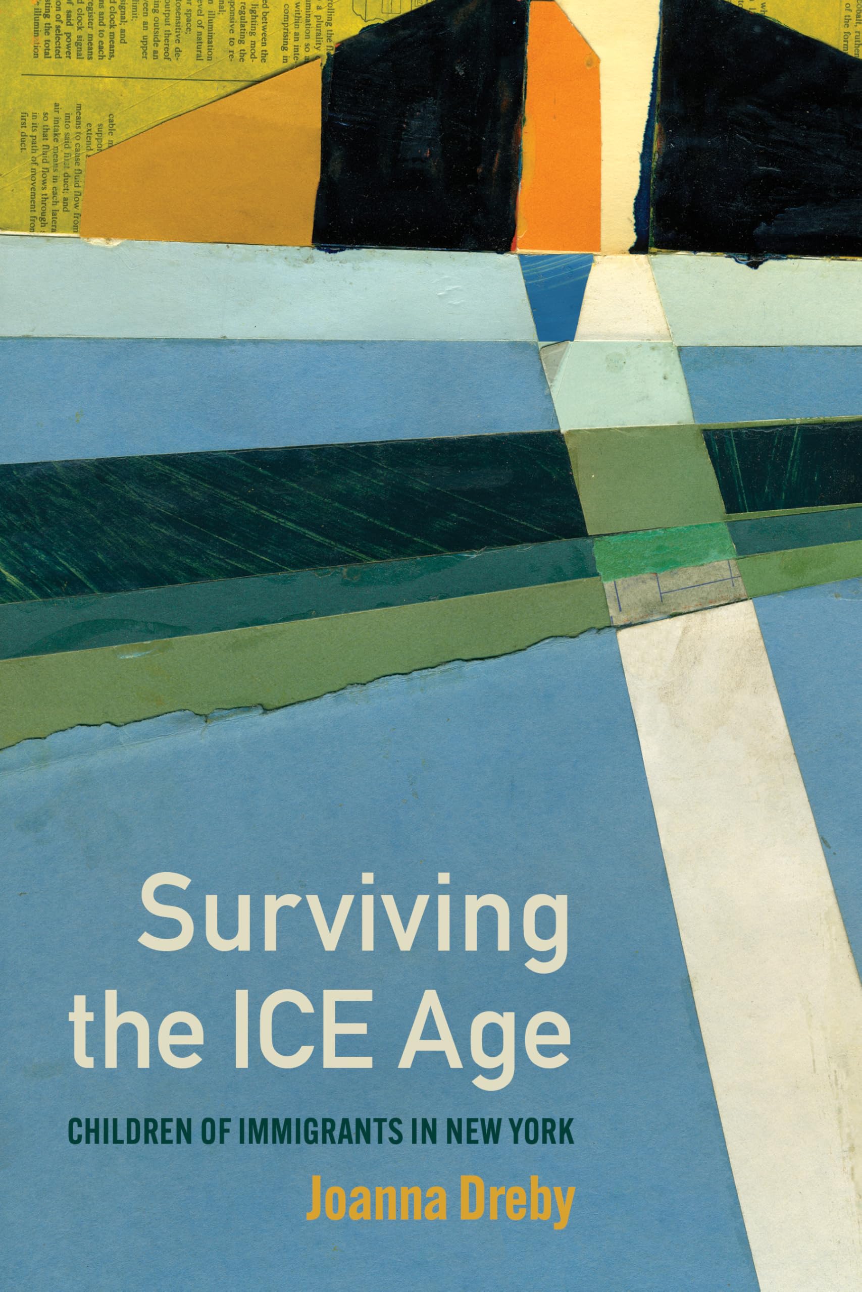 Cover of Surviving the ICE Age: Children of Immigrants in New York