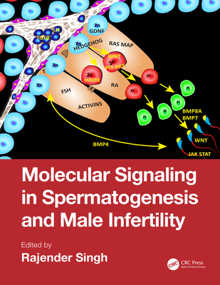 Cover of Molecular Signaling in Spermatogenesis and Male Infertility