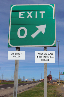 Cover of Exit Zero: Family and Class in Postindustrial Chicago