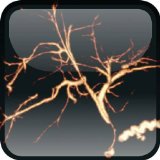 Cover of Mayo Clinic Body MRI Case Review (Mayo Clinic Scientific Press)