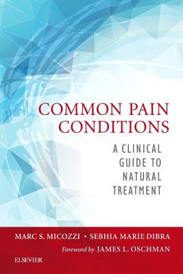 Cover of Common Pain Conditions: A Clinical Guide to Natural Treatment