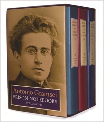 Cover of Prison Notebooks: Volumes 1, 2 & 3