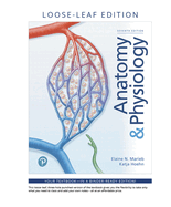 Cover of Anatomy & Physiology