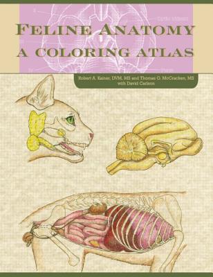 Cover of Feline Anatomy: A Coloring Atlas