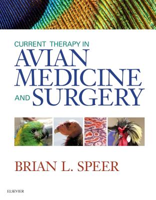 Cover of Current Therapy in Avian Medicine and Surgery