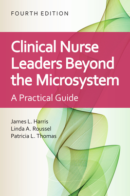 Cover of Clinical Nurse Leaders Beyond the Microsystem: A Practical Guide