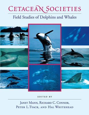 Cover of Cetacean Societies: Field Studies of Dolphins and Whales