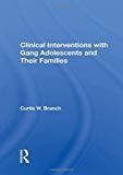 Cover of Clinical Interventions with Gang Adolescents and Their Families