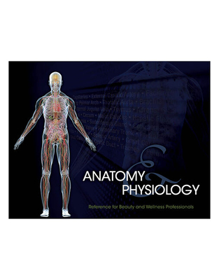 Cover of Bundle: Milady Standard Cosmetology, 13th + Milady Standard Updos, Spiral Bound + Student Reference for Anatomy & Physiology, Spiral Bound Version, 2