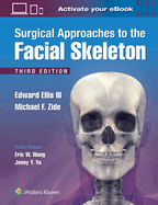 Cover of Surgical Approaches to the Facial Skeleton