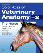 Cover of Color Atlas of Veterinary Anatomy, Volume 2, the Horse (Revised)