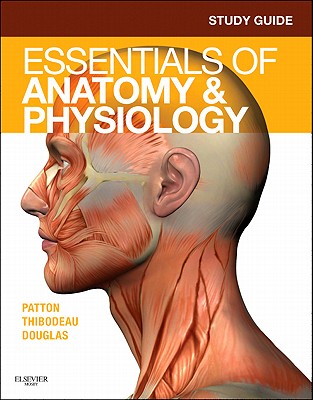Cover of Study Guide for Essentials of Anatomy & Physiology
