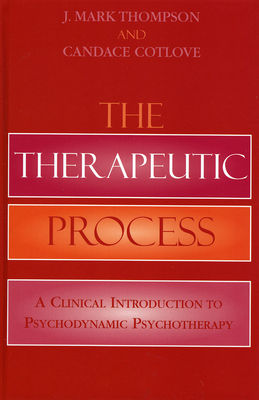 Cover of Therapeutic Process: A Clinical Introduction to Psychodynamic Psychotherapy