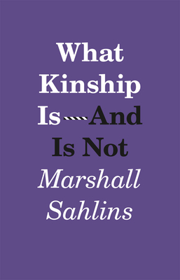 Cover of What Kinship Is - And Is Not