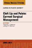 Cover of Cleft Lip and Palate: Current Surgical Management, an Issue of Clinics in Plastic Surgery (Revised)