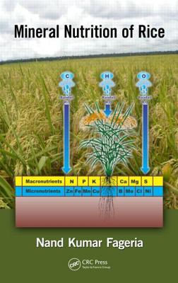Cover of Mineral Nutrition of Rice. Nand Kumar Fageria
