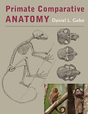Cover of Primate Comparative Anatomy